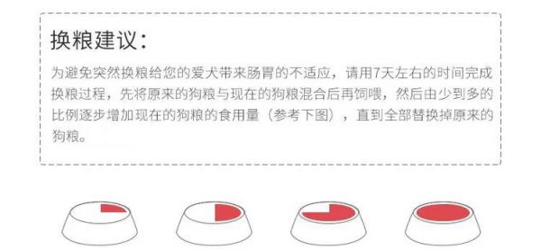 如何科学饲养狗狗？——营养饲喂篇（了解狗狗的营养需求，让它们健康成长）