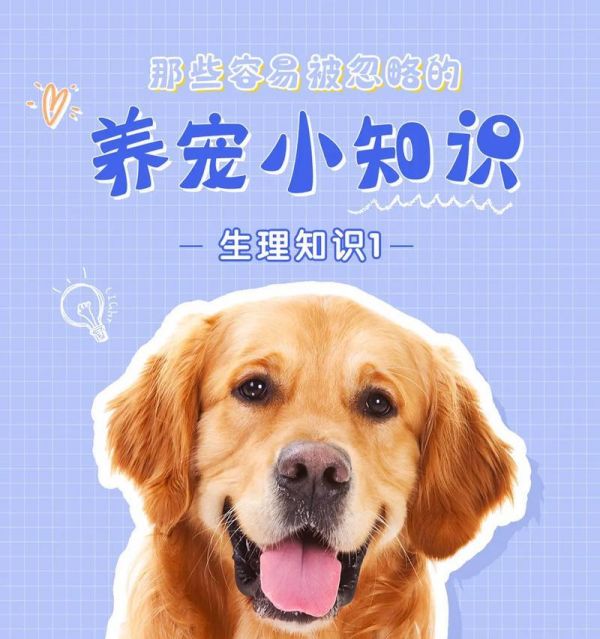 如何科学饲养狗狗？——营养饲喂篇（了解狗狗的营养需求，让它们健康成长）