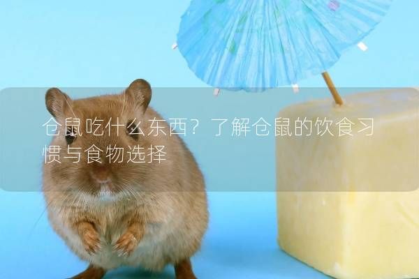 仓鼠吃什么东西？了解仓鼠的饮食习惯与食物选择
