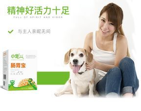 关注宠物消化健康,呵护爱宠肠胃。