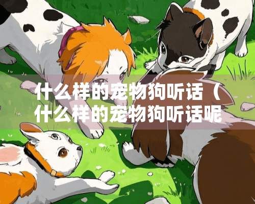什么样的宠物狗听话(什么样的宠物狗听话呢)