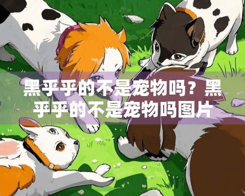 黑乎乎的不是宠物吗?黑乎乎的不是宠物吗图片