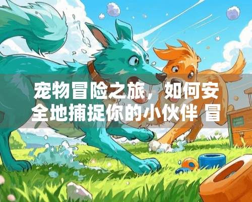 宠物冒险之旅,如何安全地捕捉你的小伙伴 冒险之旅怎么捕捉宠物
