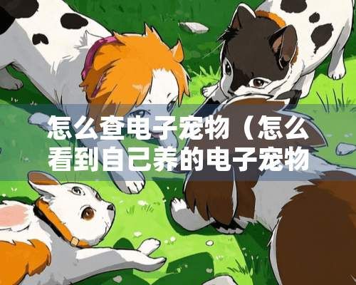 怎么查电子宠物(怎么看到自己养的电子宠物的变化)