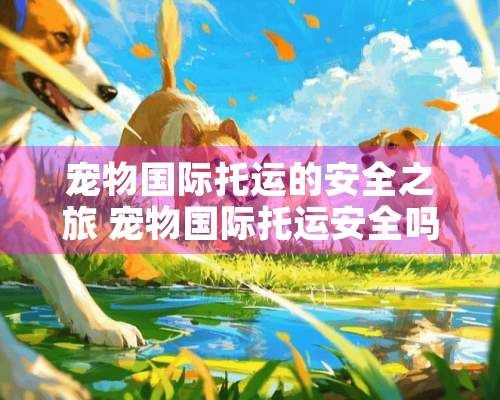 宠物国际托运的安全之旅 宠物国际托运安全吗现在