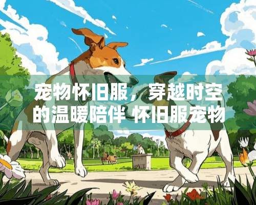 宠物怀旧服,穿越时空的温暖陪伴 怀旧服宠物加成多少钱