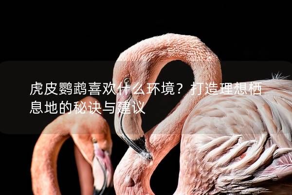 虎皮鹦鹉喜欢什么环境？打造理想栖息地的秘诀与建议