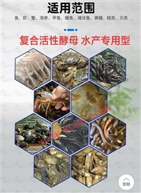 吉林 公司销售酿酒酵母粉改进畜禽,水产,反刍动物饲料适口性,有很强的诱食效果，提高经济价值。