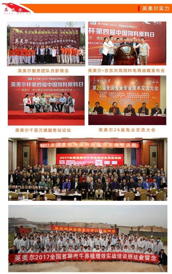 喂羊的饲料，新型羊饲料配方大全