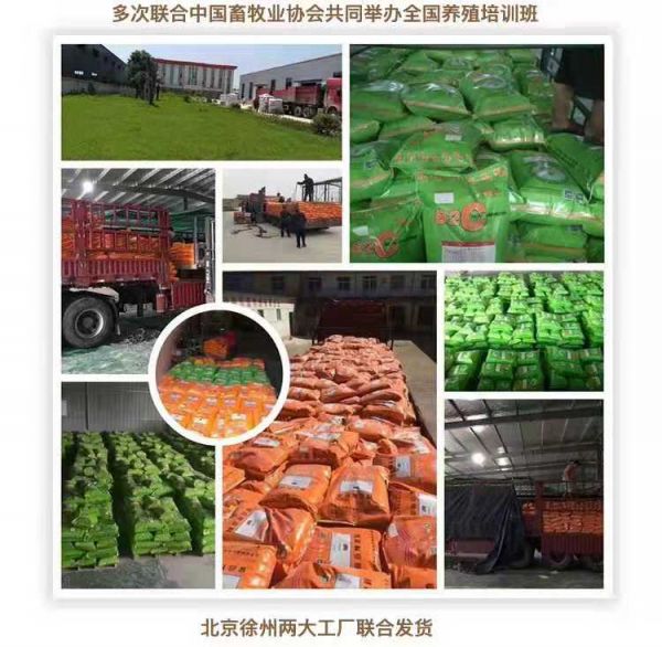 喂羊的饲料-不同阶段的羊饲料
