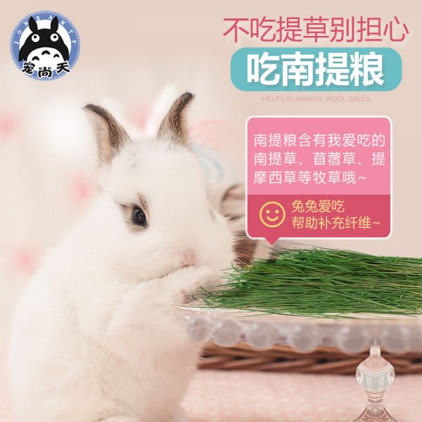 宠尚天 oem提摩西兔粮 兔子饲料 宠物饲料兔兔粮