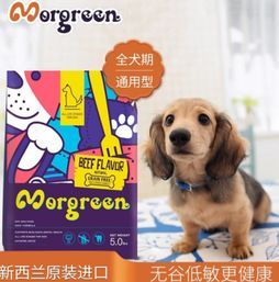 宠物狗食品制作工艺与质量探究