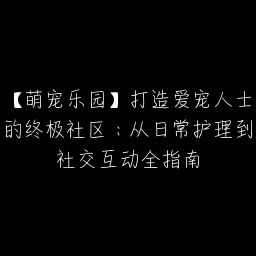 【萌宠乐园】打造爱宠人士的终极社区：从日常护理到社交互动全指南
