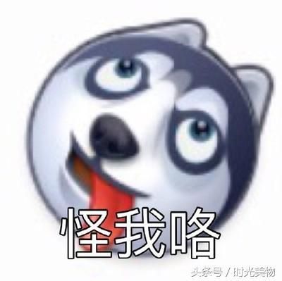 学习工作累到身体被掏空，你有时会不会觉得活得不如一条狗？