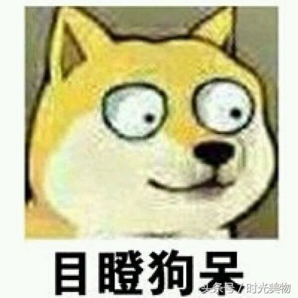 学习工作累到身体被掏空，你有时会不会觉得活得不如一条狗？
