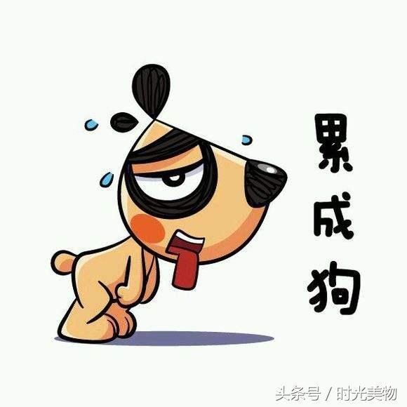 学习工作累到身体被掏空，你有时会不会觉得活得不如一条狗？