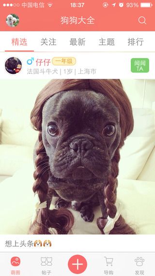 狗狗大全iPhone版 v1.6 苹果手机版 0