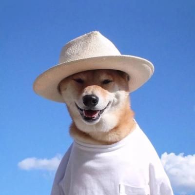 超级萌超级可爱的萌宠小狗小猫头像
