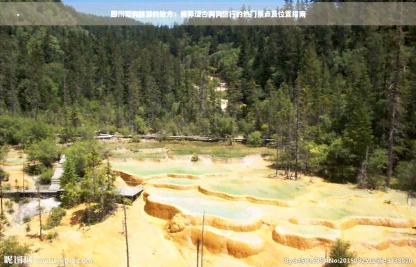 四川带狗旅游的地方：推荐适合狗狗旅行的热门景点及位置指南