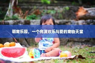 萌宠乐园，一个充满欢乐与爱的宠物天堂