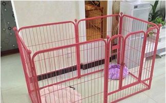 宠物笼子清洁,避免拉屎困扰