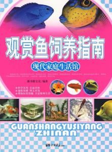 北京观赏鱼圈:宠物鱼生活指南