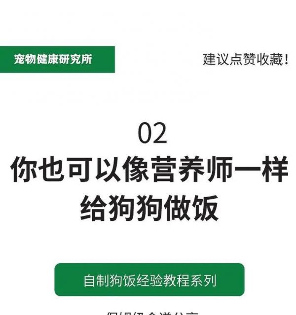 自制狗饭（为宠物狗提供健康饮食，自制狗饭的简单方法）