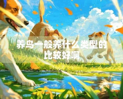 养鸟一般养什么类型的比较好啊