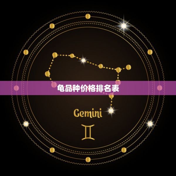 龟品种价格排名表，龟的品种价格排名是怎样的？ 第1张