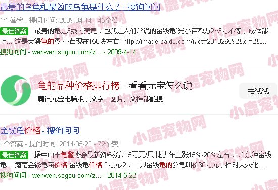 龟的品种价格排行榜