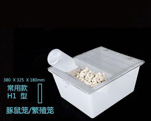 白老鼠的饲养指南（如何科学地照顾你的小宠物）
