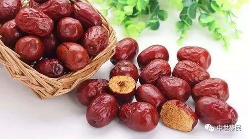 小狗能吃红枣吗？益处与禁忌