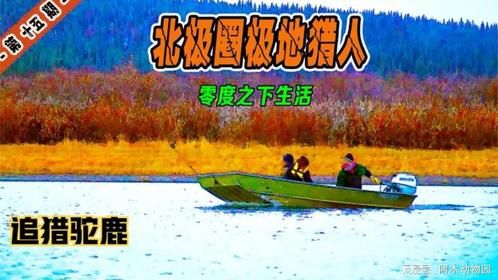这个男人太狠了，自制成本1美元的子弹成功捕获上千斤的驼鹿！