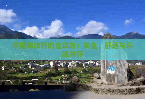 带猫咪旅行的全攻略：安全、舒适与乐趣并存