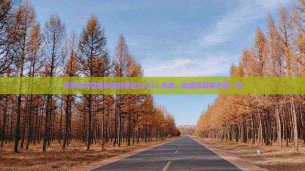 云南允许带宠物狗的景区2023：名单、数量及具体名称一览