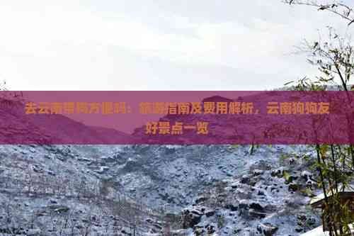 去云南带狗方便吗：旅游指南及费用解析，云南狗狗友好景点一览