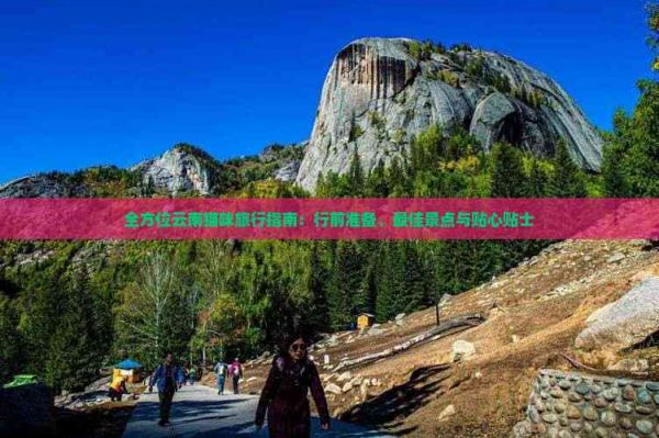 全方位云南猫咪旅行指南：行前准备、更佳景点与贴心贴士