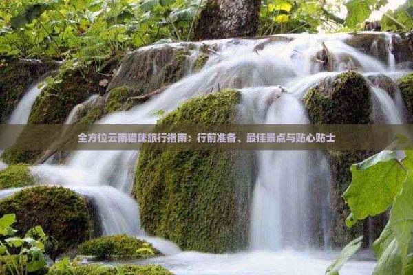 全方位云南猫咪旅行指南：行前准备、更佳景点与贴心贴士