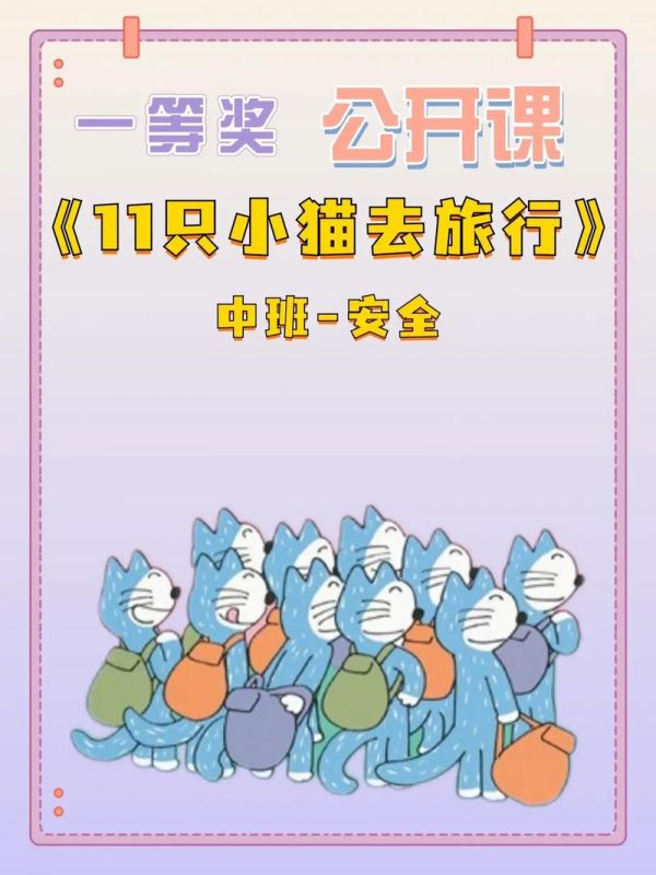 如何带猫去旅行