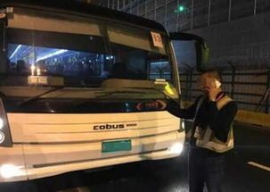 宠物猫乘客车须知