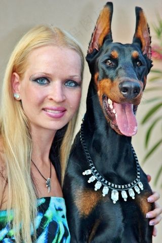 杜宾犬,约克夏犬,女人,宠物,狗