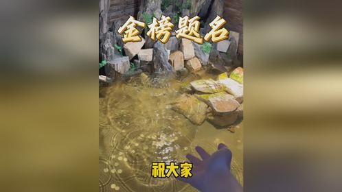 给自己12年的学业交一份完美答卷！