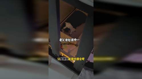 奥利奥待产中……大家别急，接生和视频剪辑都需要时间