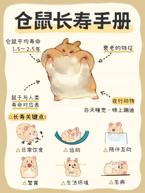 仓鼠养成手册-仓鼠养成记下载