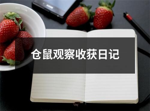 仓鼠观察收获日记