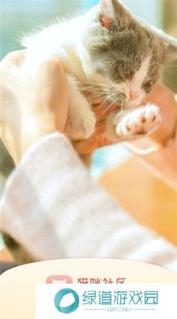 猫咪社区gps