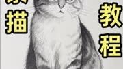 教你画可爱的小猫咪,一起来画画吧!