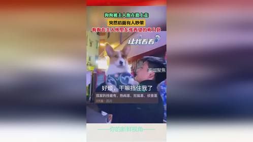 狗狗被主人抱在路上走，突然后面有人吵架，狗狗在主人怀里东张西望的听八卦。