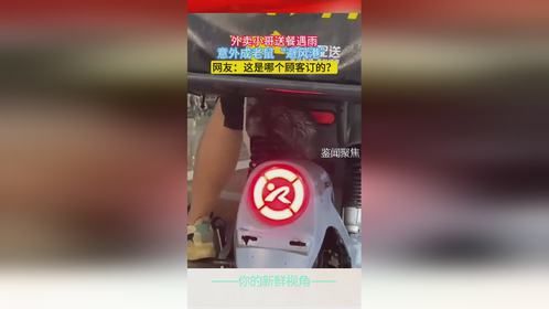 外卖小哥送餐遇雨，意外成老鼠“避风港”