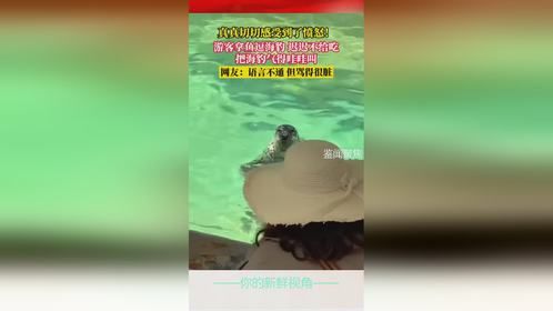 真真切切感受到了愤怒！游客拿鱼逗海豹迟迟不给吃，把海豹气得哇哇叫，网友：语言不通 但骂得很脏
